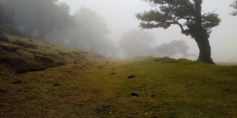 UPS电池的运输、储存与初次安装激活规范：确保电力保障与备用电源性能的第一步