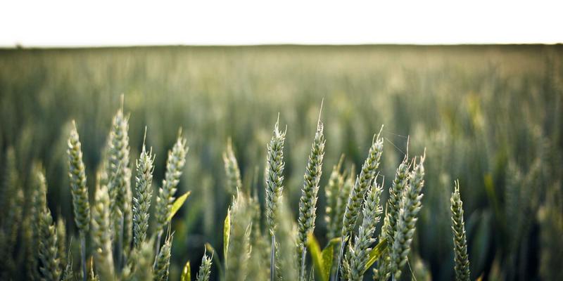 守护石化安全命脉：防爆环境中UPS电池的特殊要求与关键规范